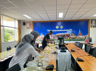 “ช่วยเหลือผู้ประสบอุทกภัยน้ำท่วมในพื้นที่จังหวัดปัตตานี” พารามิเตอร์รูปภาพ 12